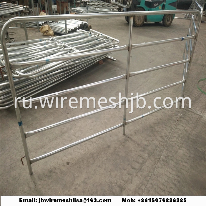 Hot Dipped Galvanized Metal Horse Fence